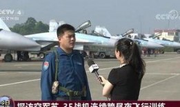 法国飞行员爆料视频大全,法国飞行员爆料视频大全深度解析